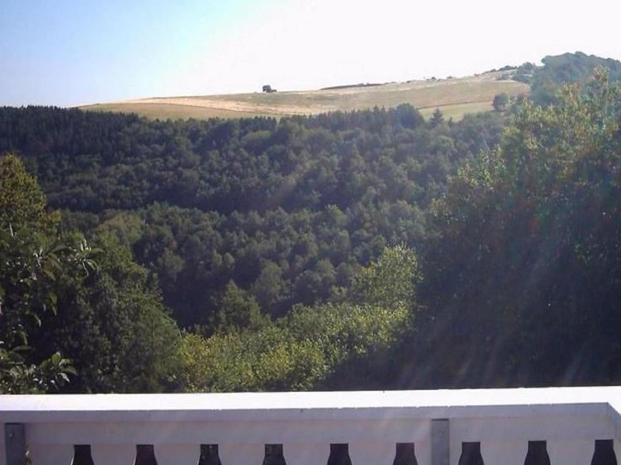 Charming Apartment In Morbach Germany With Terrace Thalfang Buitenkant foto