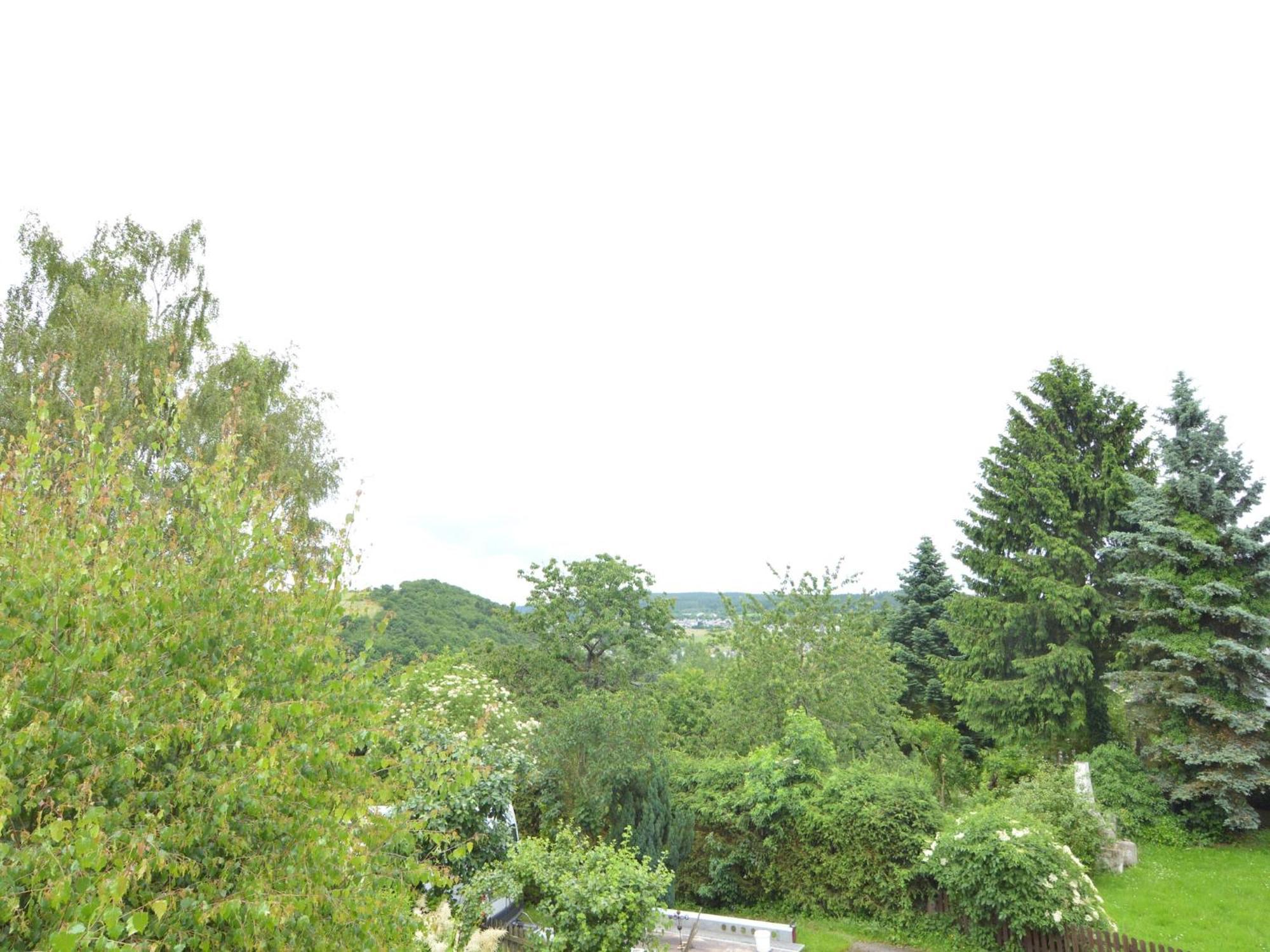 Charming Apartment In Morbach Germany With Terrace Thalfang Buitenkant foto