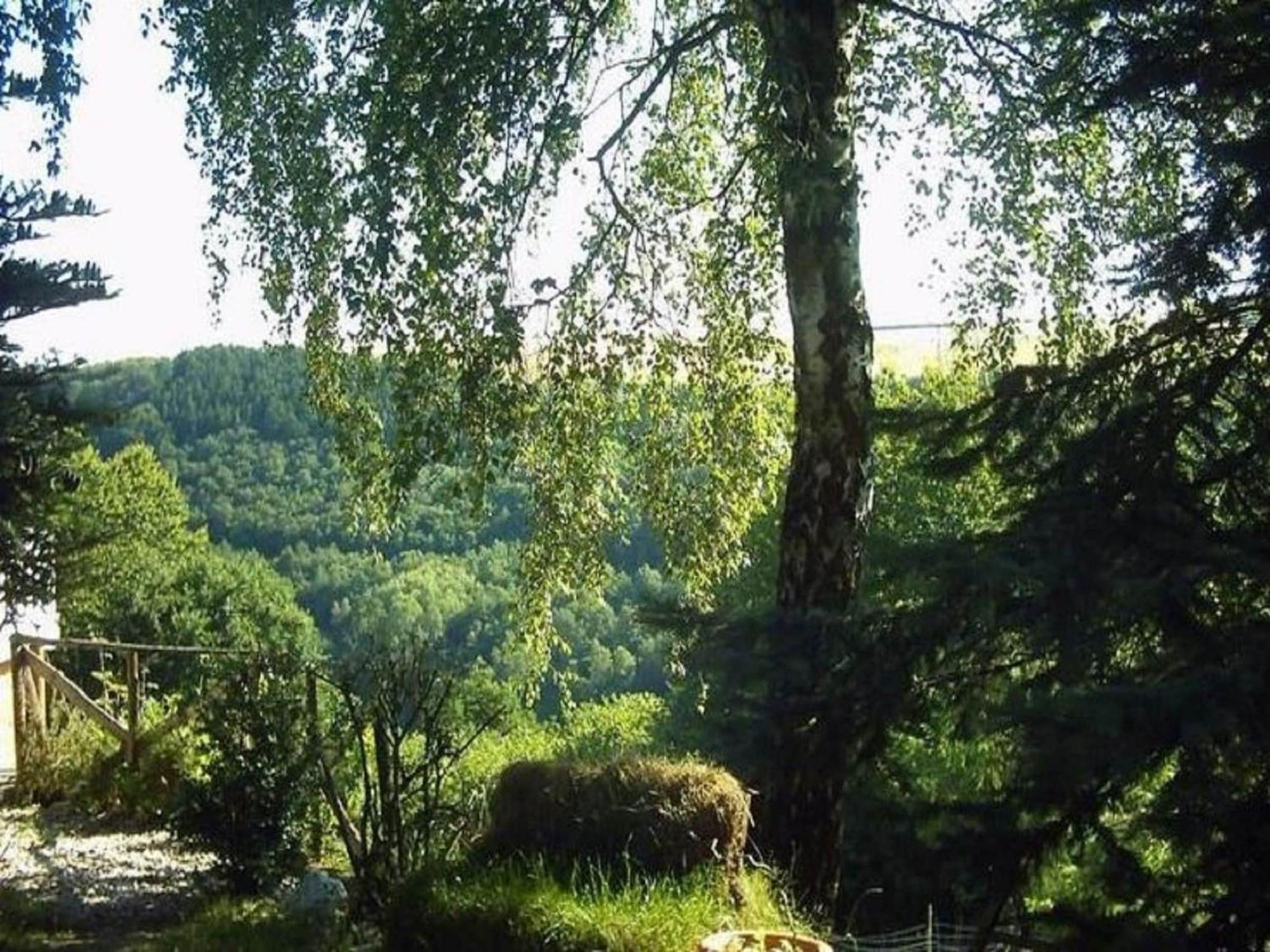 Charming Apartment In Morbach Germany With Terrace Thalfang Buitenkant foto