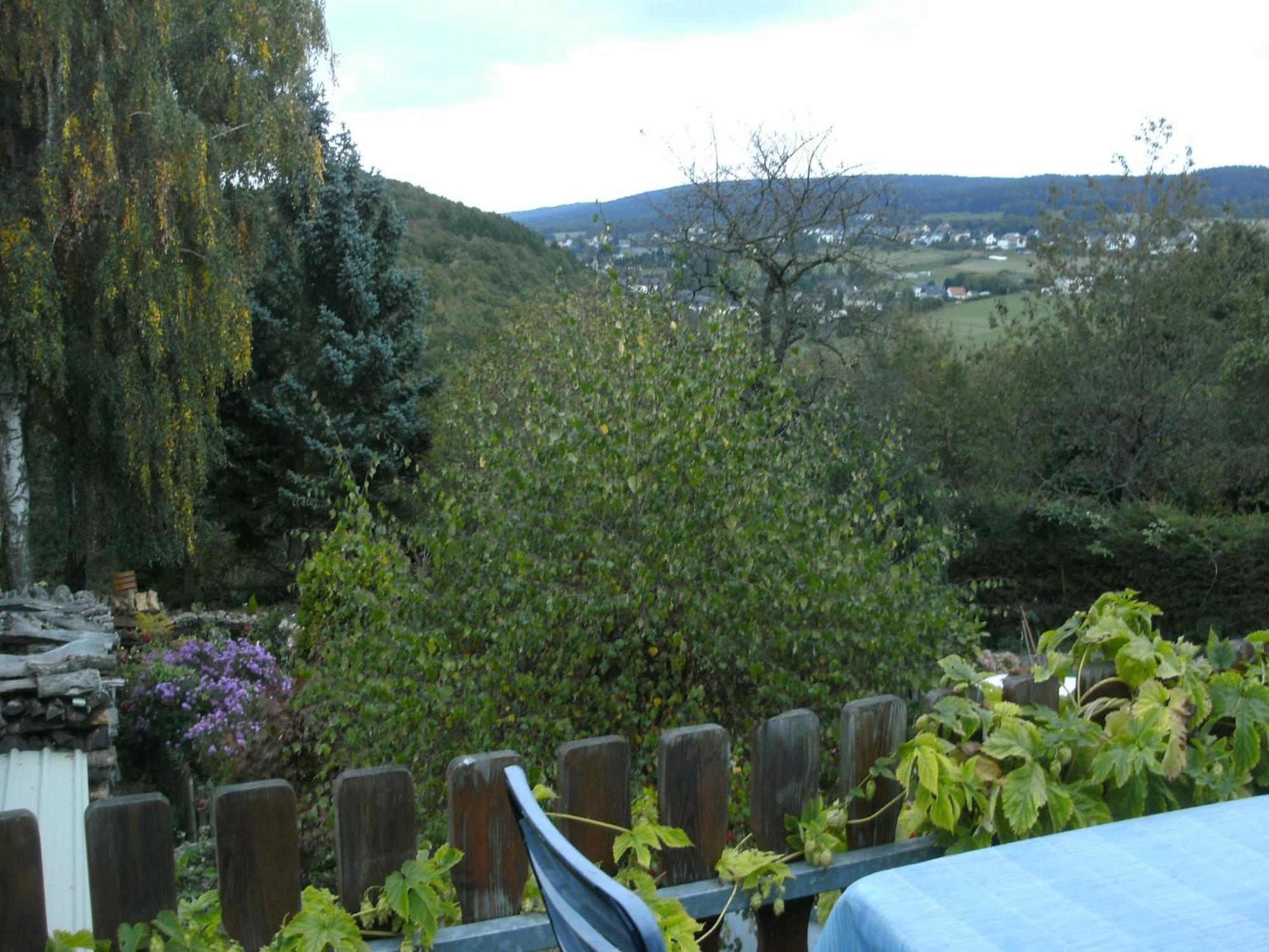 Charming Apartment In Morbach Germany With Terrace Thalfang Buitenkant foto